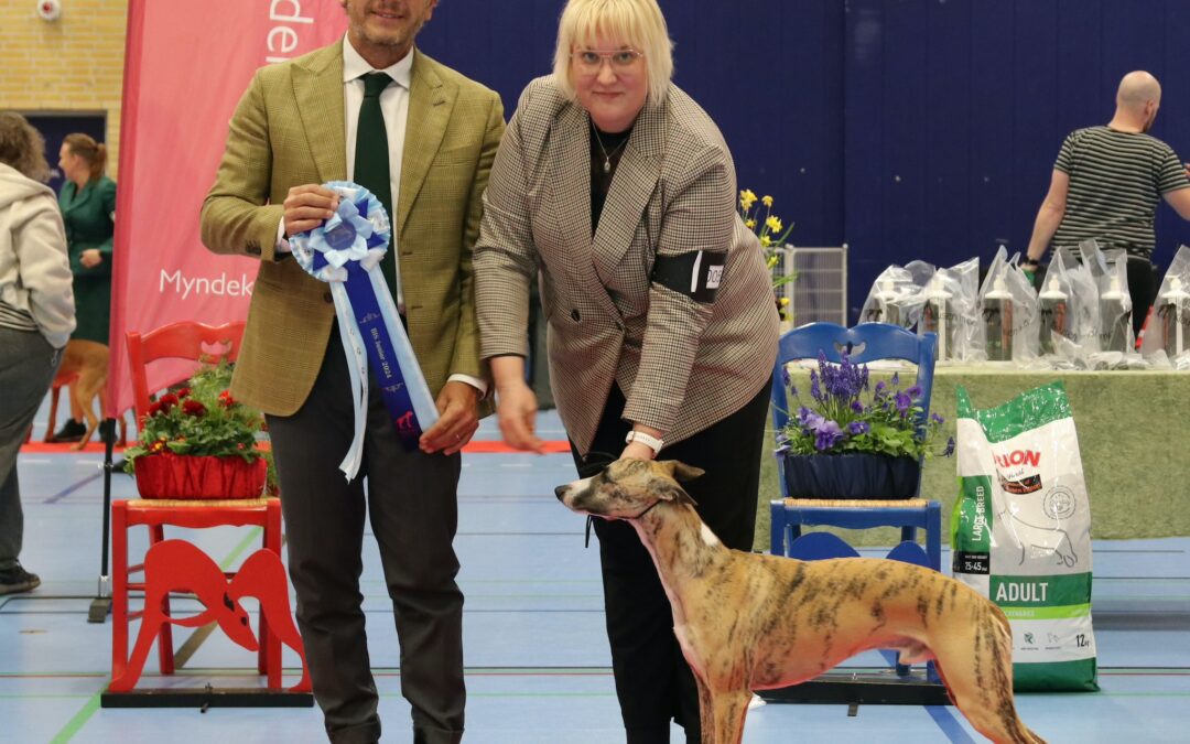 Forårsudstilling – Strøby