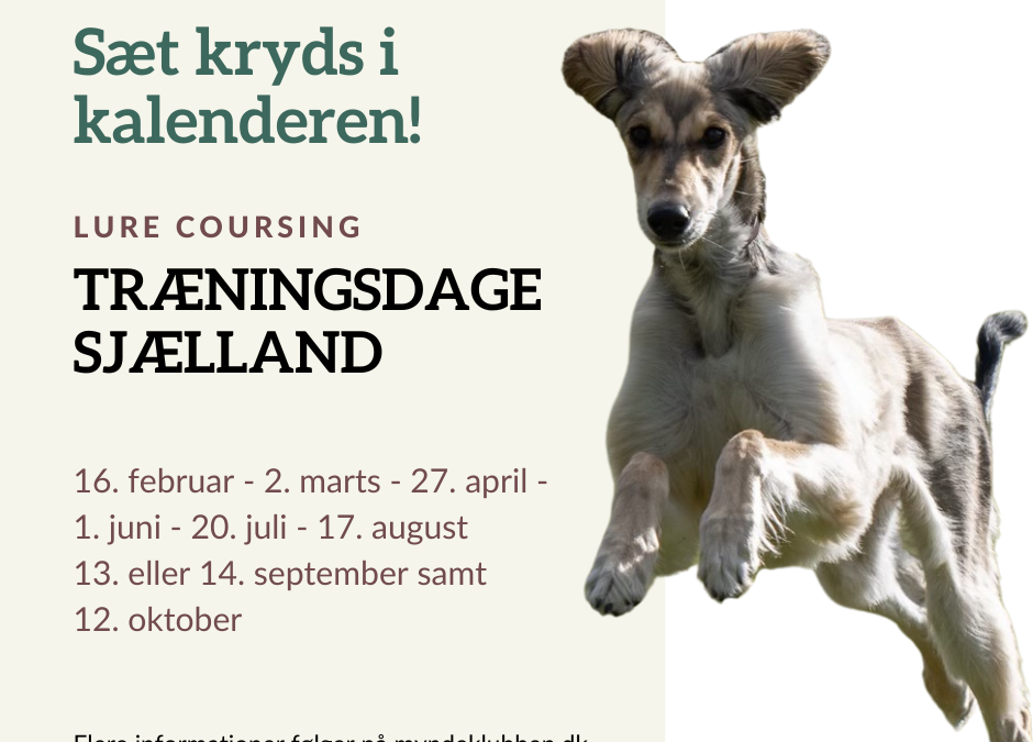 LC-træning – Sjælland