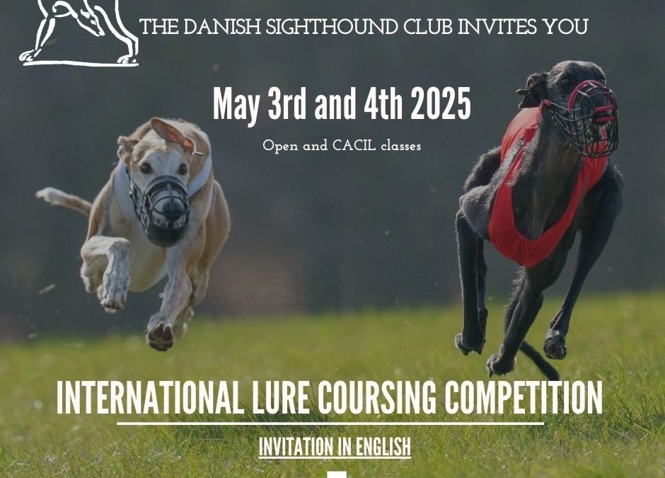 LC International Konkurrence