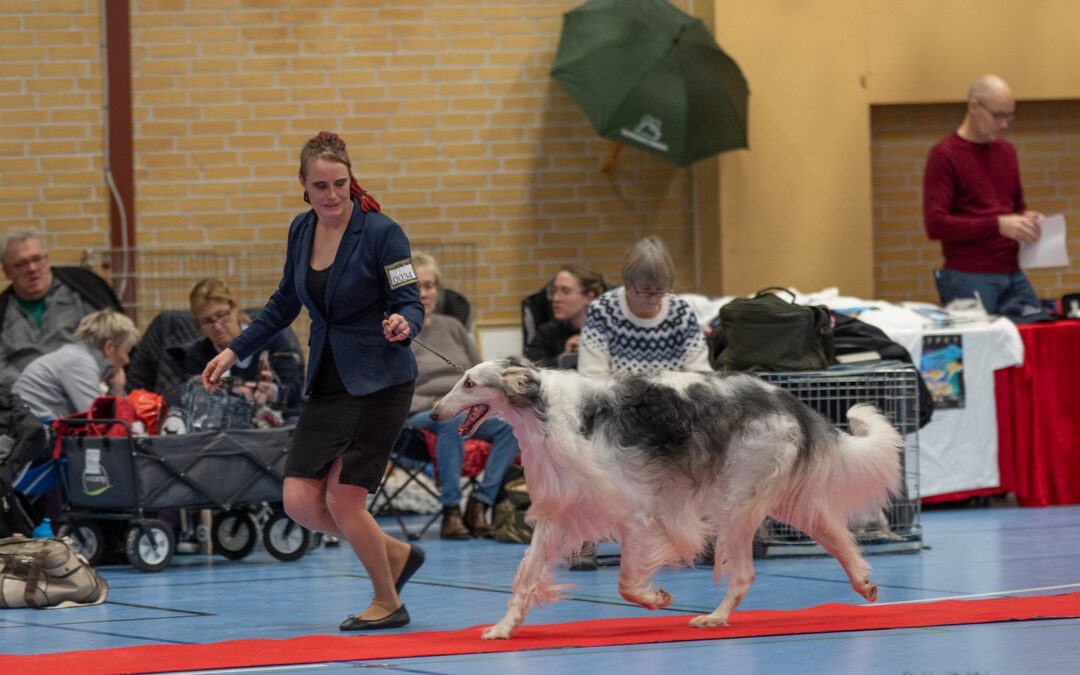 Juleudstilling Strøby