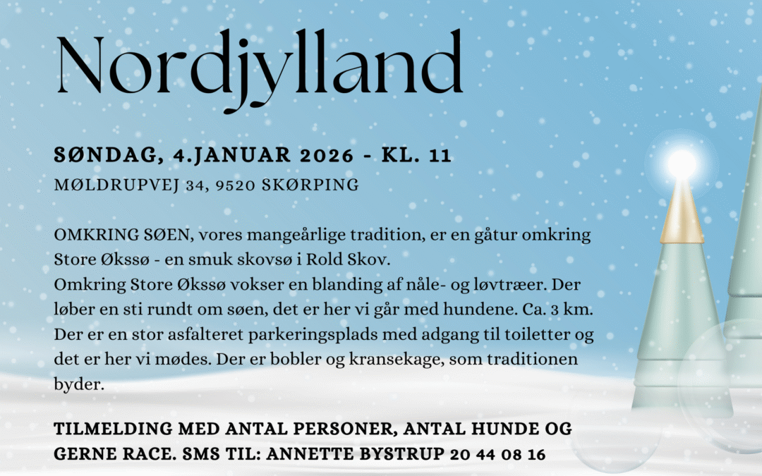 Nytårsgåtur – Nordjylland