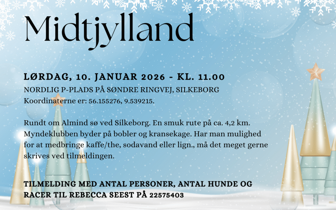 Nytårsgåtur – Midtjylland