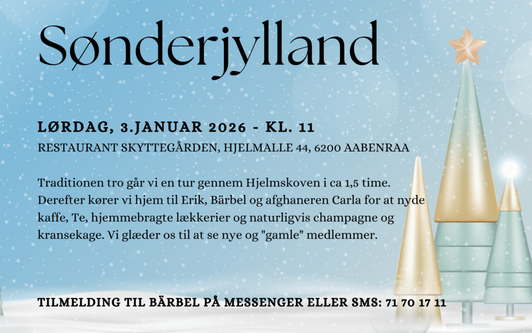 Nytårsgåtur – Sønderjylland