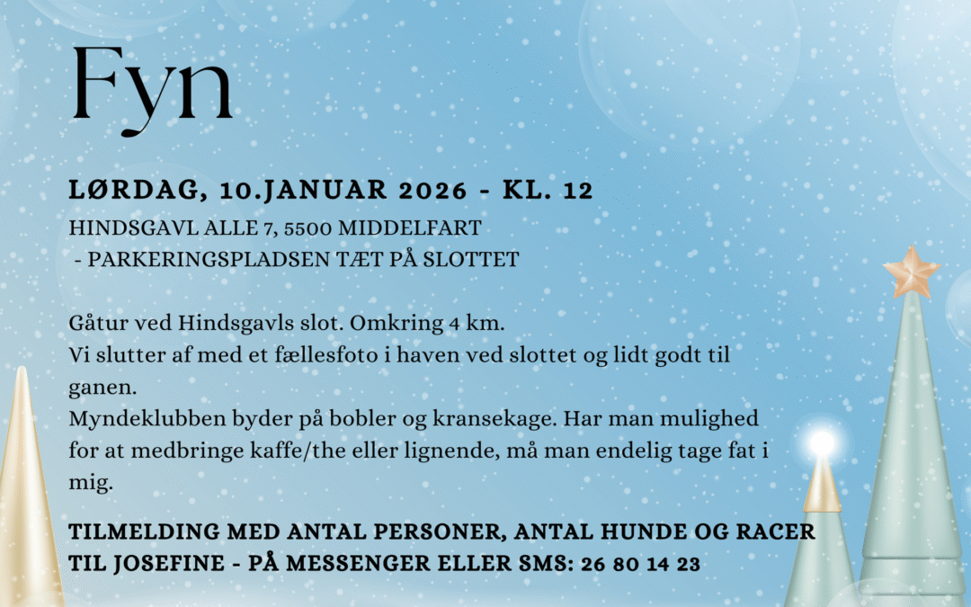 Nytårsgåtur – Fyn