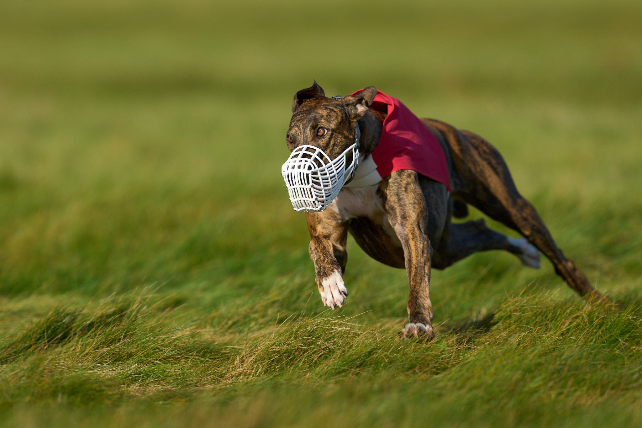 492059294_10231527827836177_7536936507763810596_n