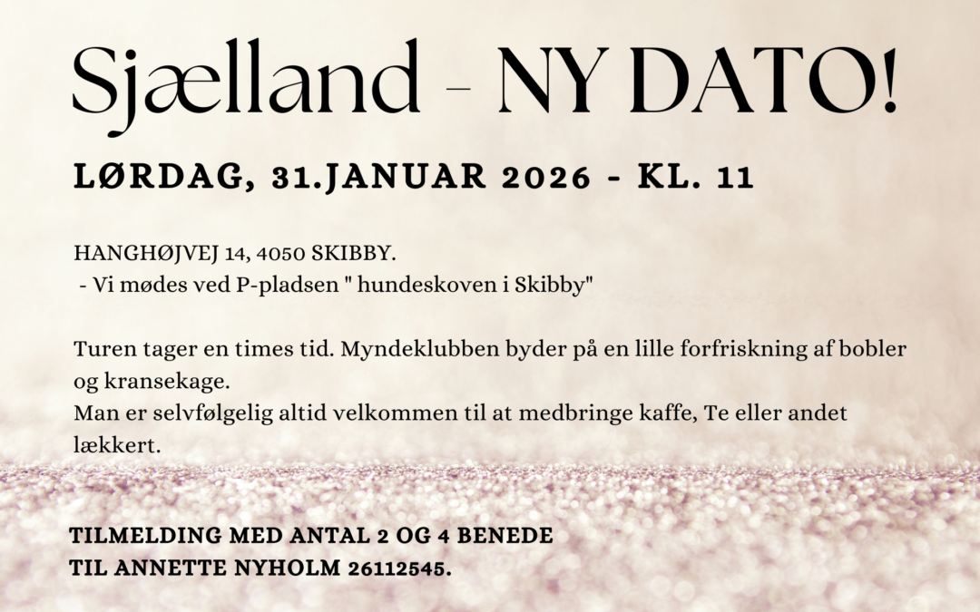 Nytårsgåtur – Sjælland – NY DATO!