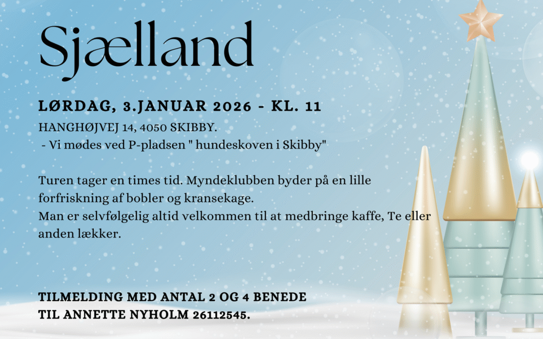 Nytårsgåtur – Sjælland