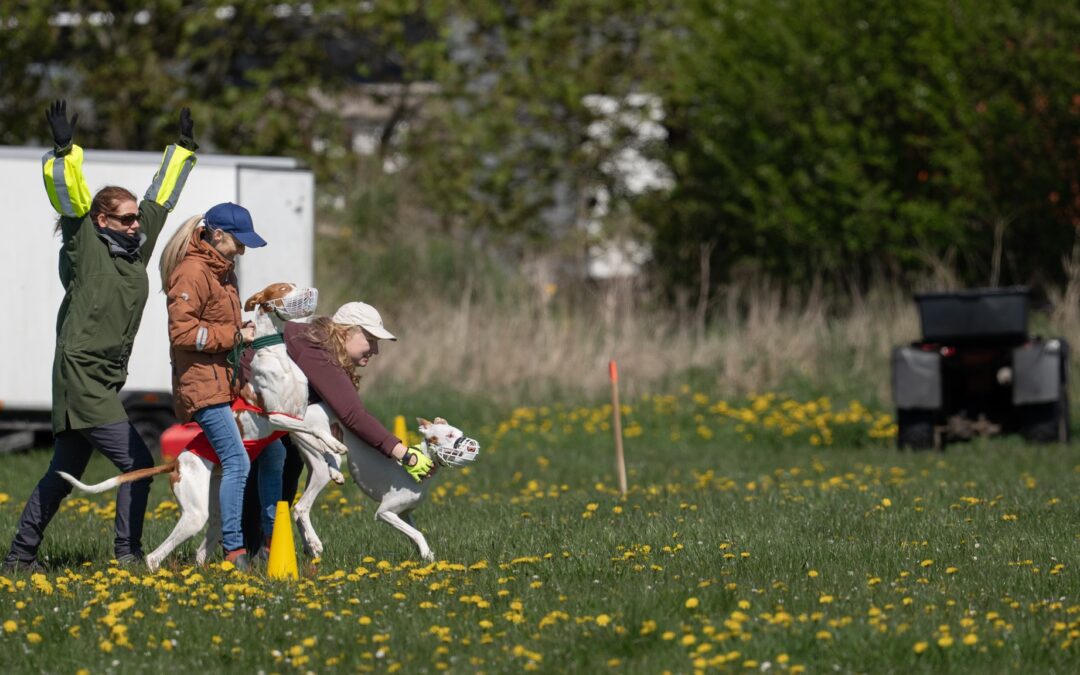 LC National Konkurrence (ændret)