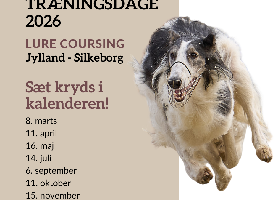 LC-træning Vest, Silkeborg