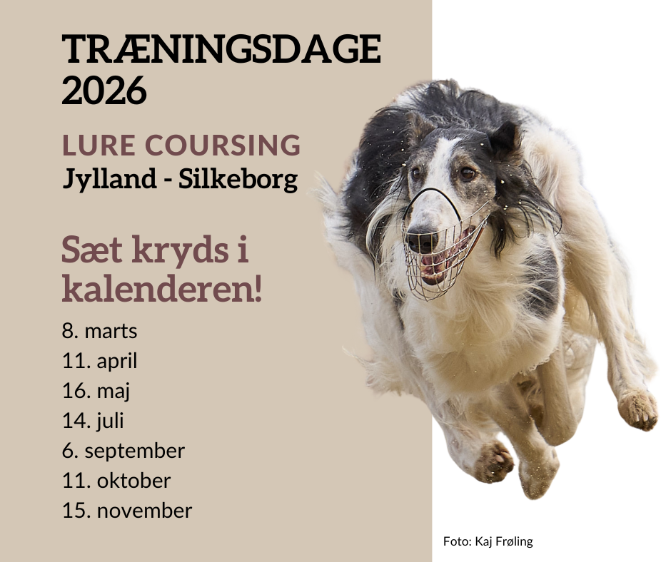 Lure coursing træningsdage i 2026