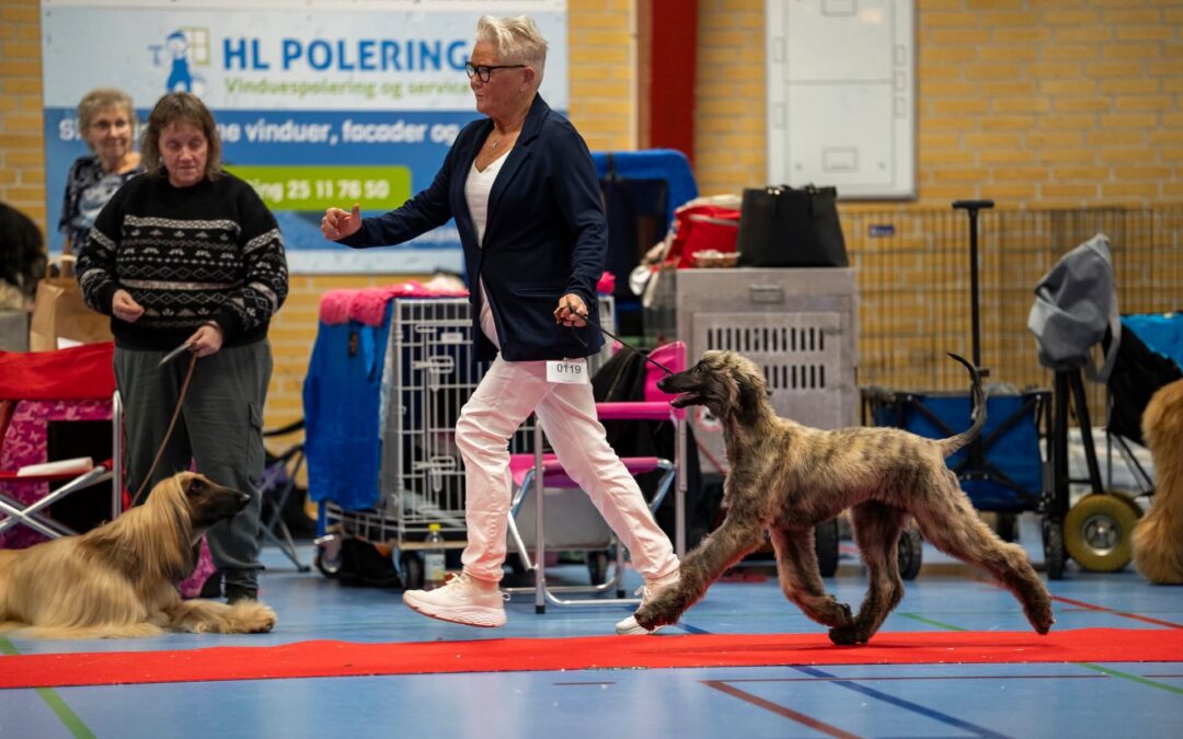 Juleudstilling Strøby